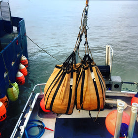 Brailer Bag in Custom Sizes: