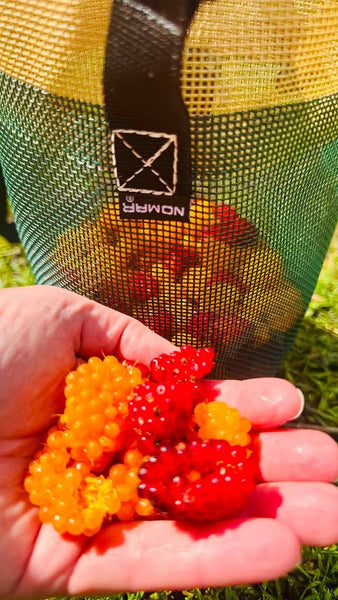 Forager Bag