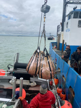 Brailer Bags Standard In-Stock Sizes