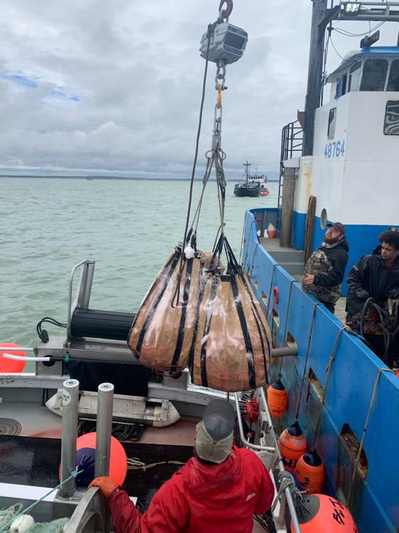 commercial fishing net supplies Authentic - Genuine Used Thick Fish Netting stainless steel pick comes with a 4 no Commercial Fishing Nets | Johnston