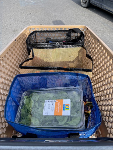 Mesh Go Bag