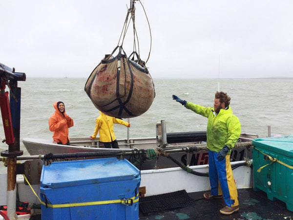 Commercial fishing brailer bag skiff setnet