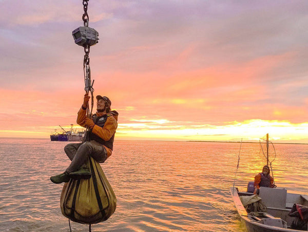 Brailer bag for commercial fishing