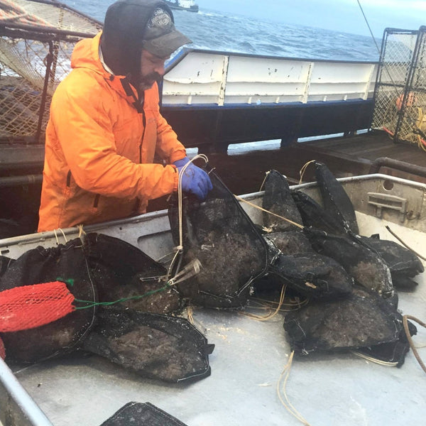Bait bags for crab and cod pot fisheries