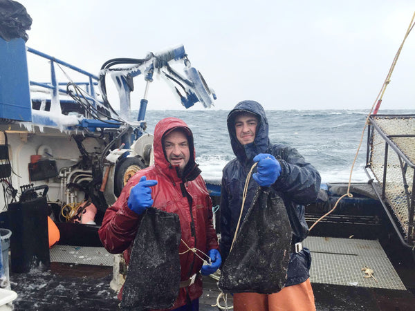 Bait bags for crab and cod pot fisheries