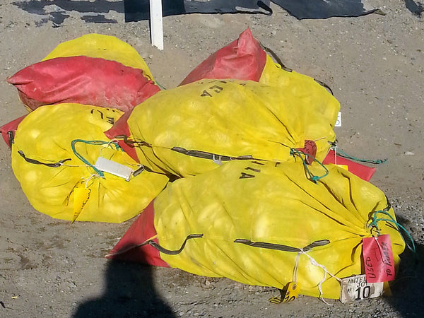 Bristol Bay Net Storage Bag